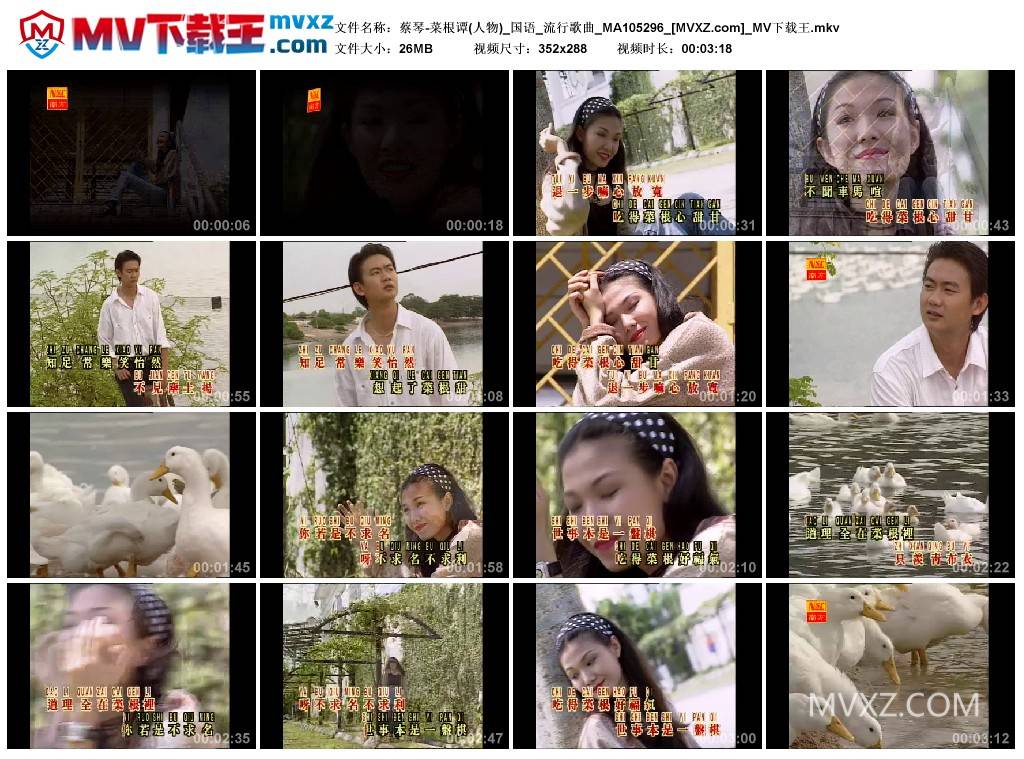 蔡琴-菜根谭(人物)_国语_流行歌曲_MA105296